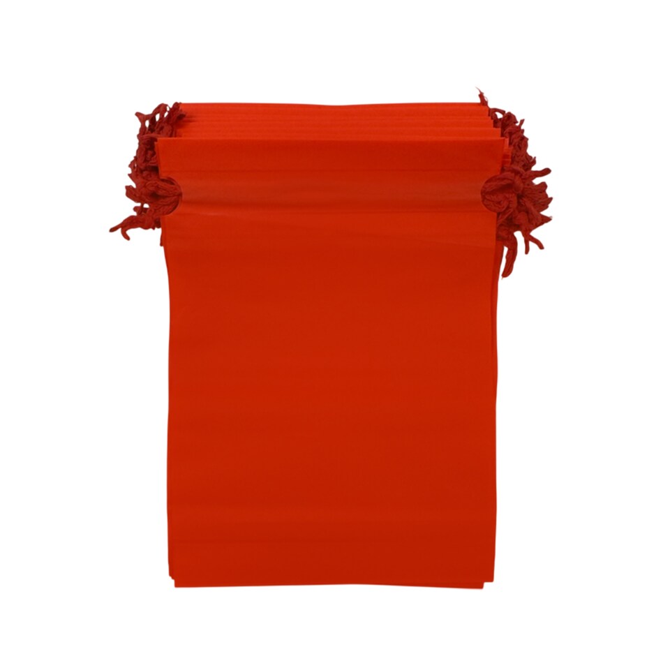 image 1 of Pack of 25 Red Coloured 21x29cm PEVA Frosted Drawstring Bags | Red