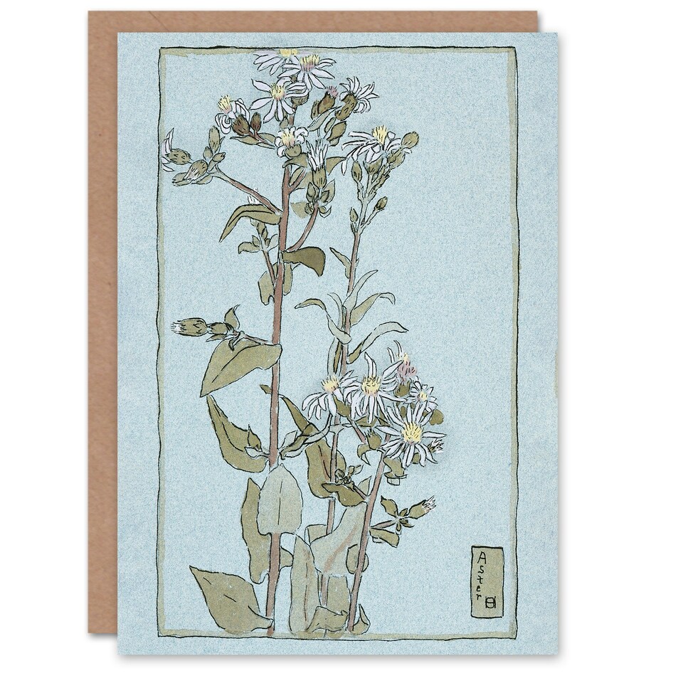 image 1 of Hannah Borger Overbeck Art Card Aster on Green Ground