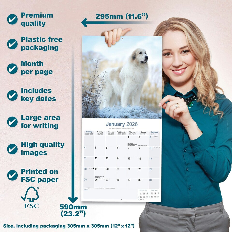 image 1 of Great Pyrenees 2026 Calendar | Square Wall Calendar | Dog Breed Gift | Plastic Free Packaging | by Avonside Publishing