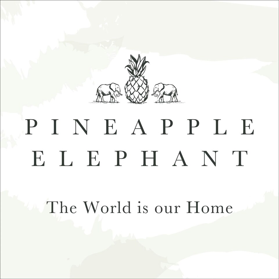 image 1 of Pineapple Elephant Izmir Stone Tab Top Voile Grey | 55x90"