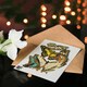 image 4 of Eugene Seguy Art Card Papillons Butterflies Illustration