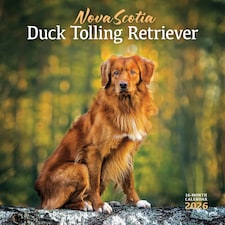 Nova Scotia Duck Tolling Retriever Calendar 2026, Wall Calendars, Month To View, Dogs, Gift