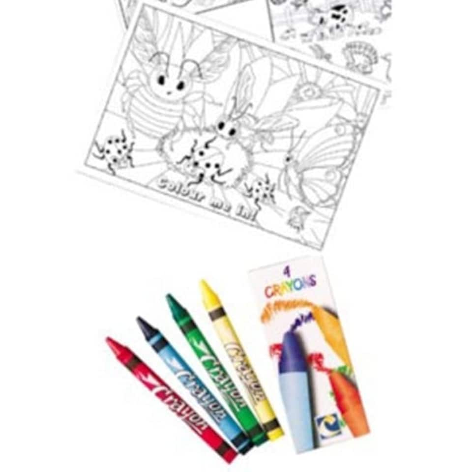 Bugs and Slugs A4 Colouring Sheet with 4 Crayons