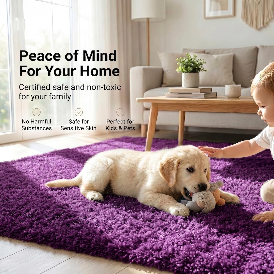 image 1 of Bargainia California Shaggy Rug Soft Pile Living Room