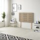 image 3 of Astoria Divan Bed Base with 30 Inch Diamonte Button Headboard Plush Velvet | Brown | Beige | Small Double