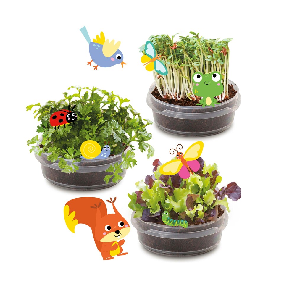 image 1 of SES Creative Treehouse Garden
