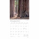image 4 of Yosemite Calendar 2026, Wall Calendars, Month To View, Travel, Gift