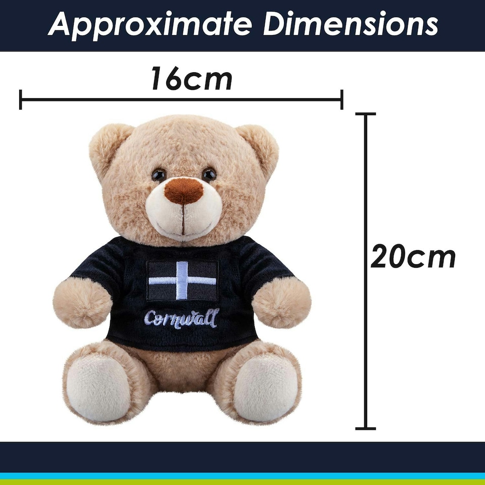 image 1 of Cornwall Bear Soft Toy Cute Plushie Huggable Cuddly Stuffed Toy Gift 20cm Black