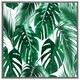 image 3 of Palm leaves (Picture Frame) Brown | S