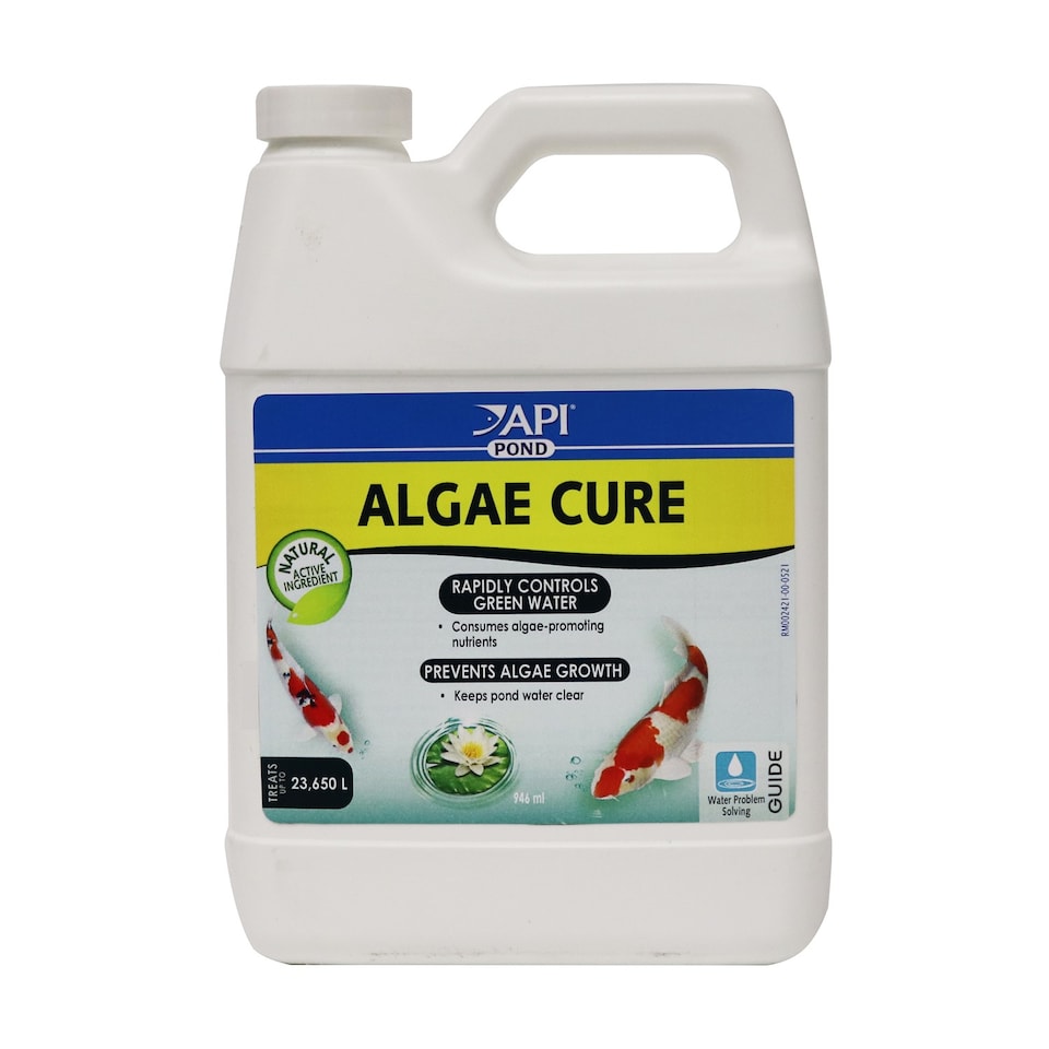 946ml API Pond Algae Cure Controls Green Water Fast & Prevents Future ...
