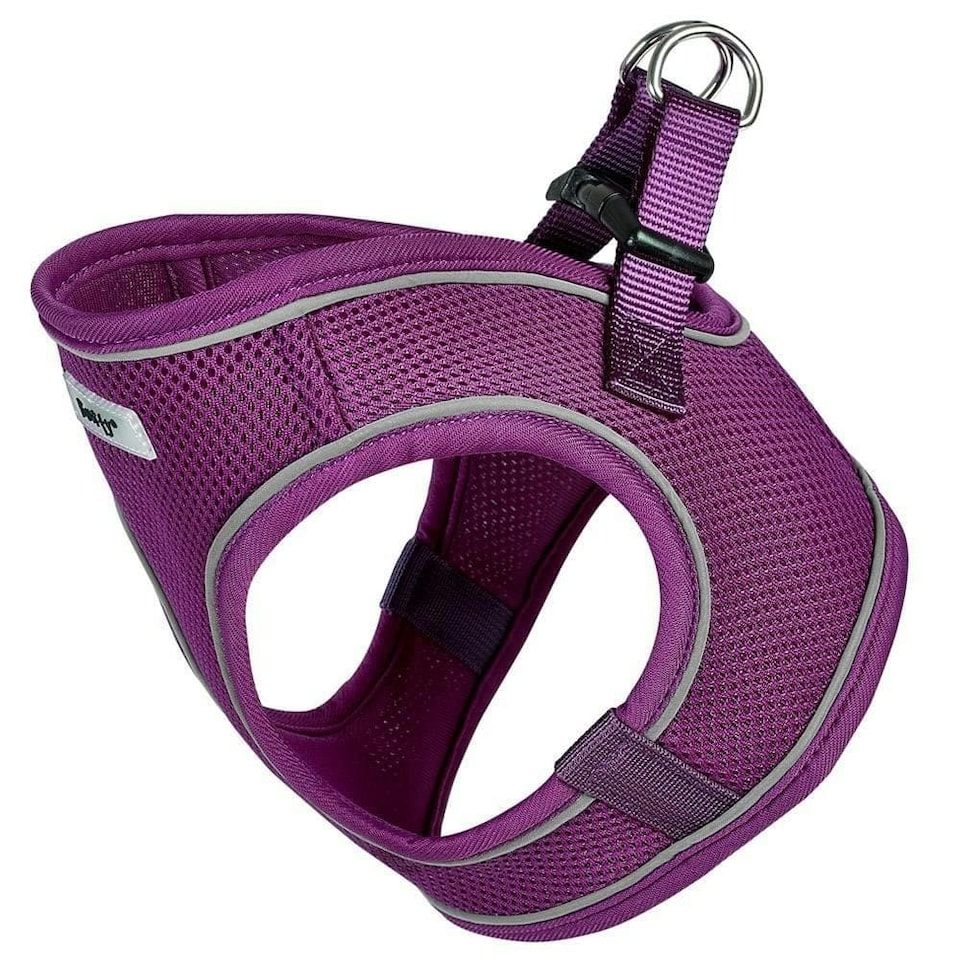 image 1 of Bunty Voyage Harness Purple | XS