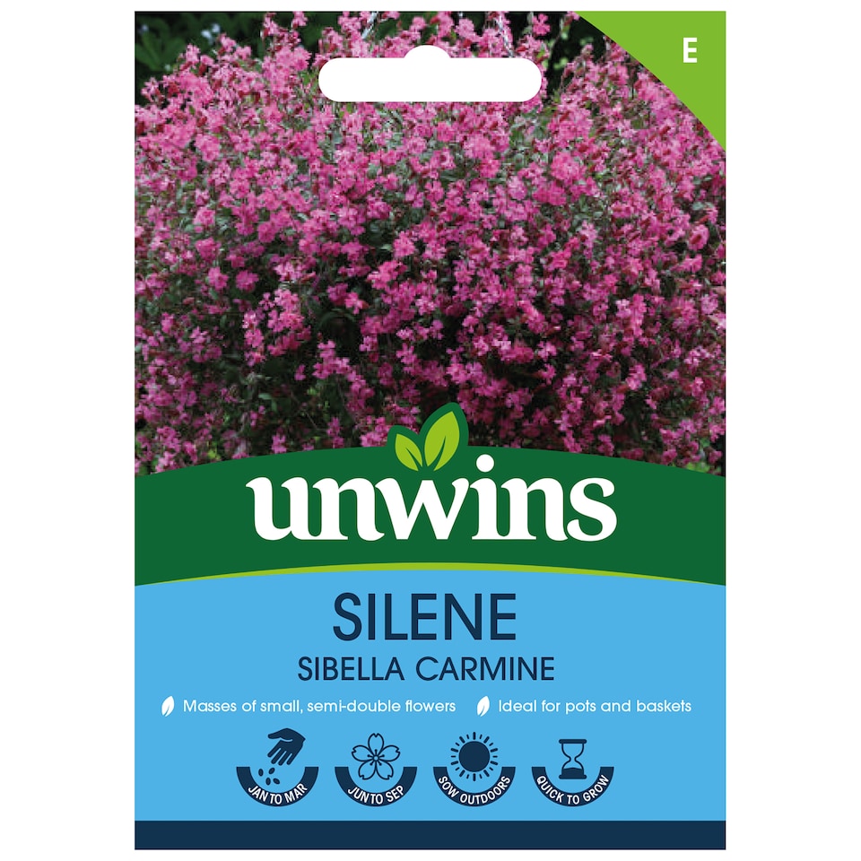image 1 of Silene Sibella Carmine | Multi | Pink | Flower Seeds | 1