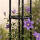 image 6 of Garden Obelisk for Climbing Plants 220cm 7ft - Metal Plant Cage Support Trellis Rose Tower for Flowers, Patio Pots, Shrub, Borders