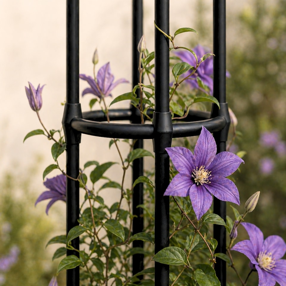 image 1 of Garden Obelisk for Climbing Plants 220cm 7ft - Metal Plant Cage Support Trellis Rose Tower for Flowers, Patio Pots, Shrub, Borders