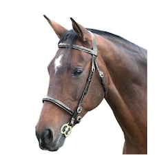 Blenheim Fancy Stitch Leather Horse Inhand Bridle - Black - Shetland