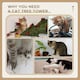 image 9 of PawHut 91cm Scratching Posts Cat Tree Activity Centre for Indoor Cats Cream