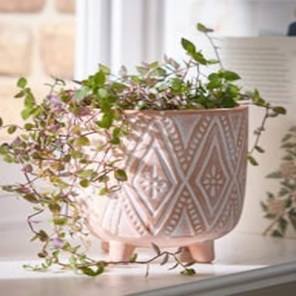 image 1 of Diamond Terracotta Footed Plant Pot Orange