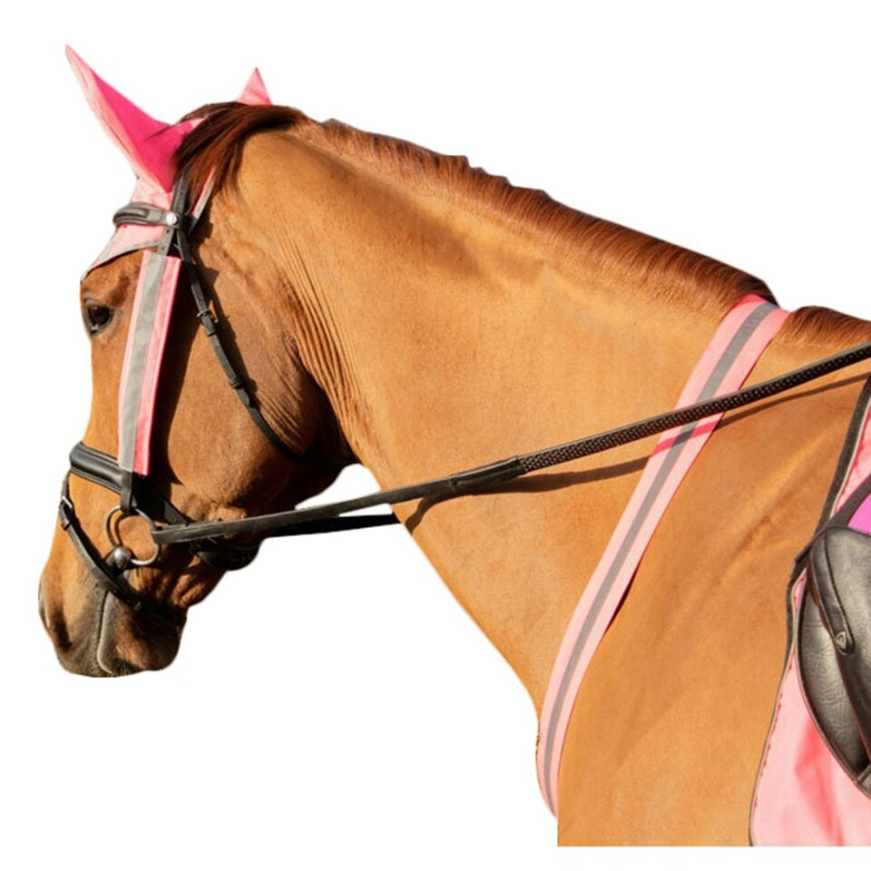 image 1 of HyVIZ Horse Martingale - Pink - One Size