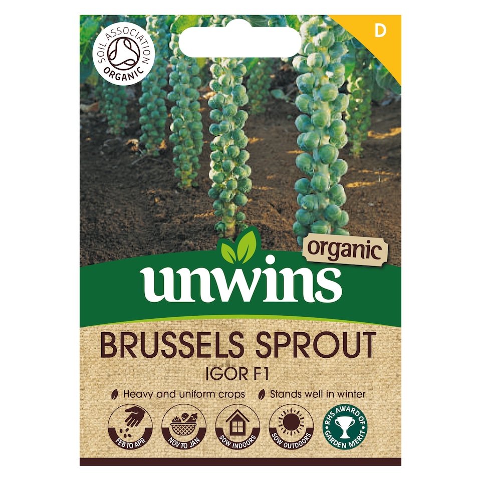 image 1 of Brussels Sprout Igor F1 (Organic) | Multi | Green