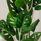 image 3 of 45Cm Monstera in Black Plastic Pot Green | One Size