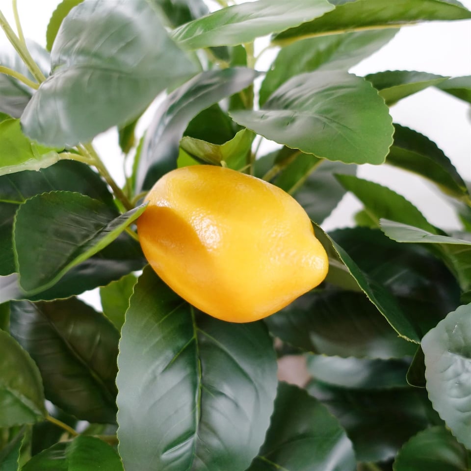 image 1 of Large Lemon Tree Artificial 120cm Premium Plant | Green | 4ft