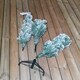 image 4 of 5.5ft (1.7m) Premier Snow Flocked Spruce Pine Slim Christmas Tree in Green