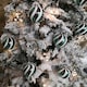image 4 of Box of 12 8cm Green with White and Red Glitter Shatterproof Christmas Bauble Decoration in PDQ