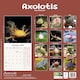 image 2 of Axolotls 2026 Calendar | Square Wall Calendar | Animal Gift | Plastic Free Packaging | by Avonside Publishing