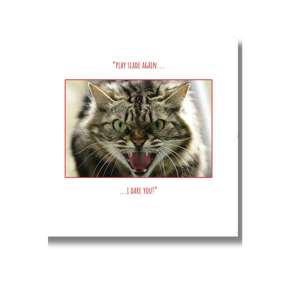 Emotional Rescue Christmas Card, Cat, 16.3 x 16.3 cms, Multi-Coloured