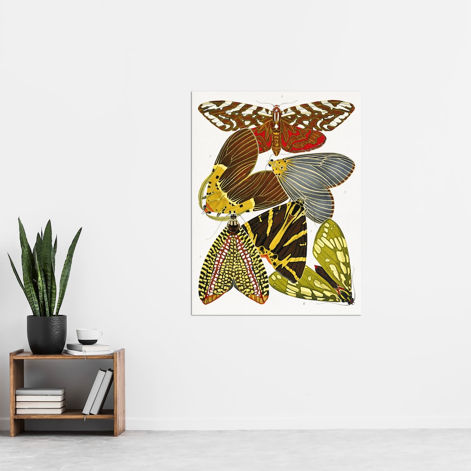 image 1 of Butterfly Illustration Vintage Wall Art Print Eugene Seguy 24x32"