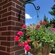 image 2 of Marco Paul Black Steel Wall Mounted Wall Hook 8"
