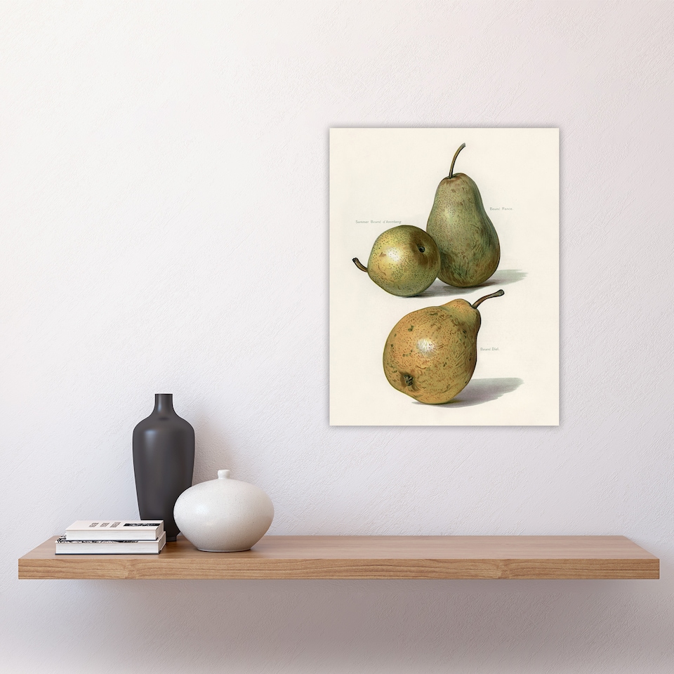 image 1 of Vintage Illustration of Pear Varieties Wright Wall Art Poster Print 12X16"