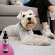 image 2 of HugglePets Bubbly Tails Dog Cologne - Baby Powder