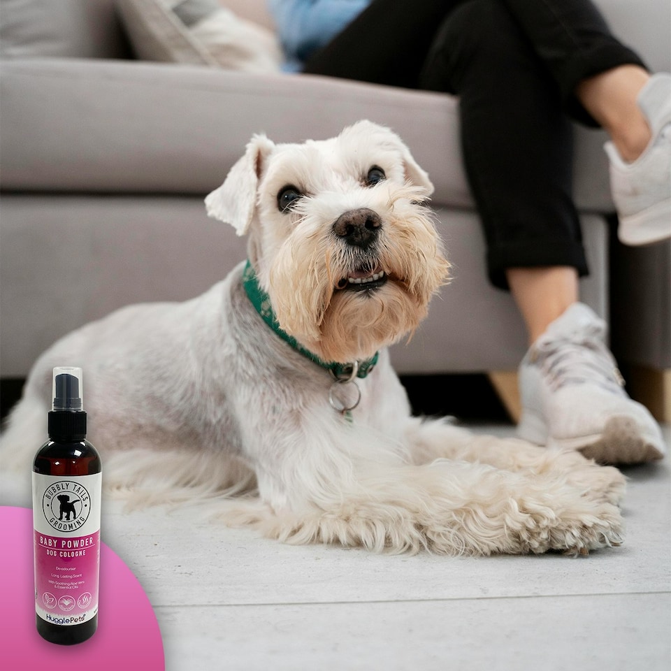 image 1 of HugglePets Bubbly Tails Dog Cologne - Baby Powder