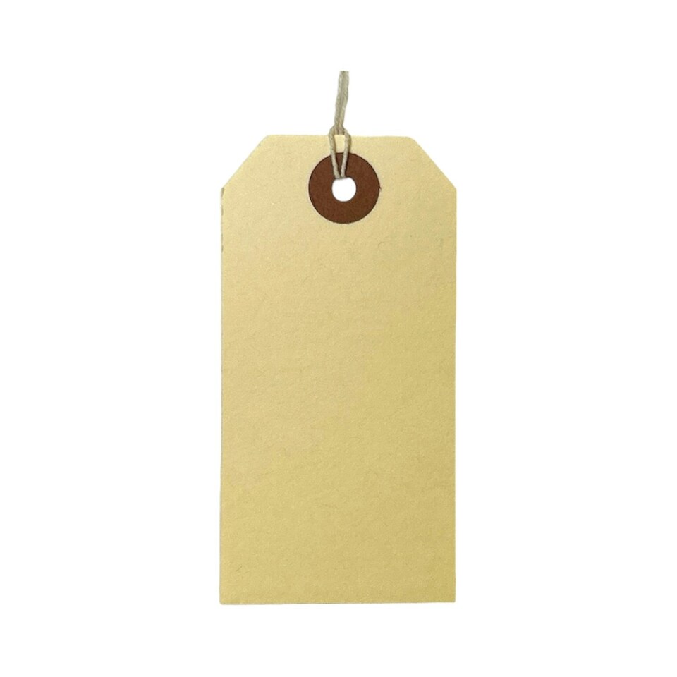 image 1 of Box of 1000 96mm x 48mm Ivory Strung Tags