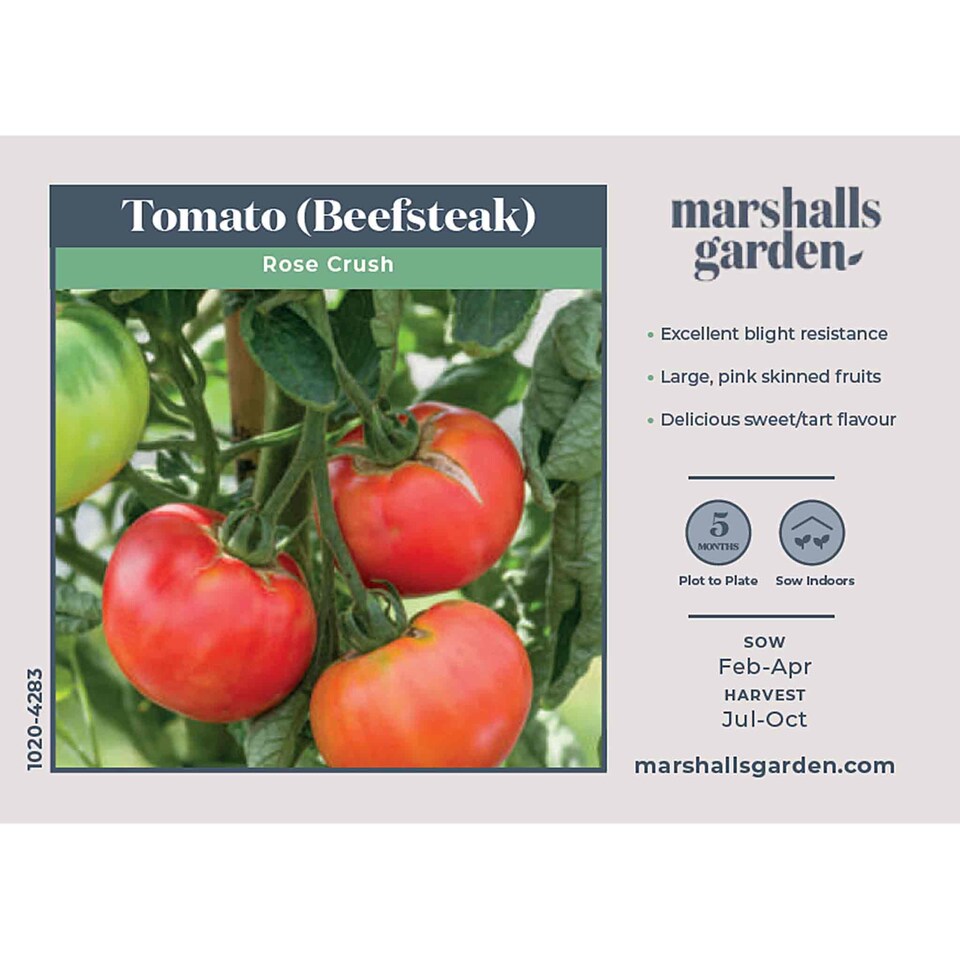image 1 of Marshalls Garden Tomato Seeds 'Rose Crush' 10 Seeds