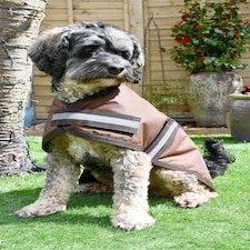 Rhinegold Waterproof Dog Coat Brown | XXS