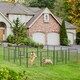 image 2 of PawHut 16 Panels Heavy Duty Puppy Play Pen for Small, Medium Dogs 80Hcm