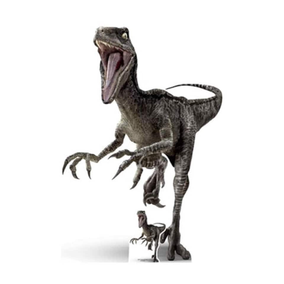 Raptor Dinosaur Lifesize Cardboard Cutout 135cm