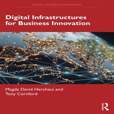 Digital Infrastructures For Business In