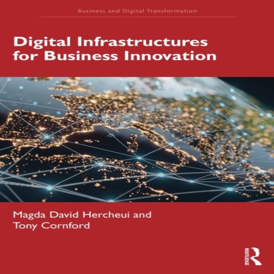 Digital Infrastructures For Business In