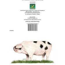 Kevin Milner Countryside Gloucestershire Old Spot Greetings Card - White/Black/Green - One Size