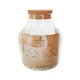 image 10 of Angluar Glass Small Terrarium DIY Kit Clear