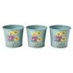image 6 of RHS Asteraceae Herb Pots