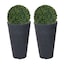 Black & Set of 2