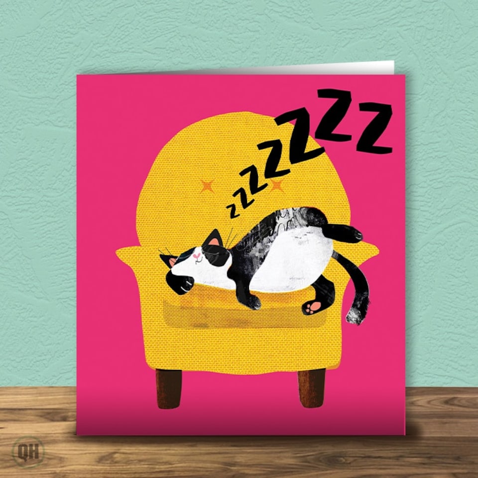 image 1 of Sleeping Cat - Cat Nap Greetings Card By Paul Delaney