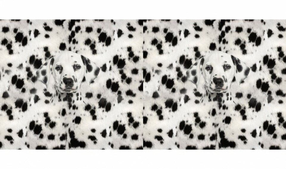 White Cotton Jersey Stretch Knit Fabric Panel for Dressmaking, 150cm / 59" Wide - per metre