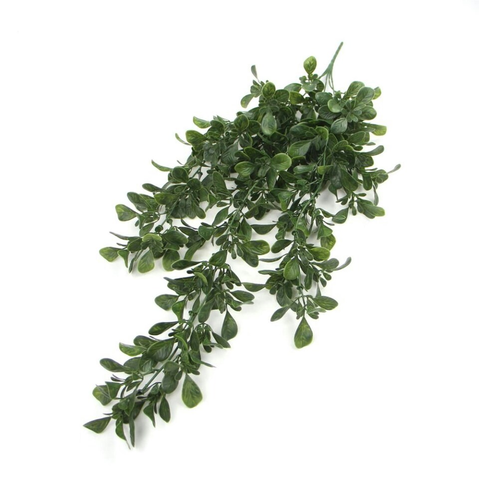 image 1 of Hanging UV and Fire Resistant Artificial Peperomia Plant 68cm