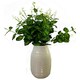 image 3 of Variegated Leaf Spray (Single Stem Flower) - Plastic - L5 x W20 x H62 cm - Green