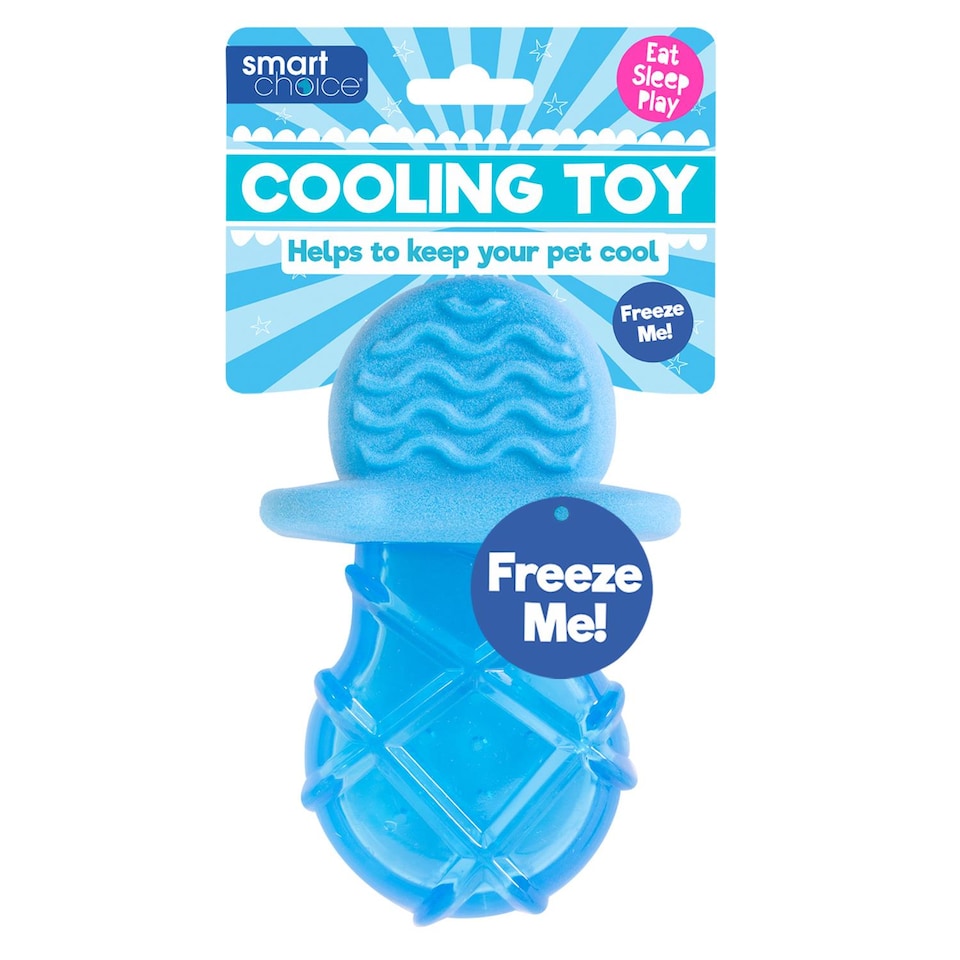 image 1 of Dummy Shaped Summer Cooling Pet Toy - Dog Puppy Teething Chew Outdoor Play Freezable Durable Rubber Hydrating Teether Frozen
